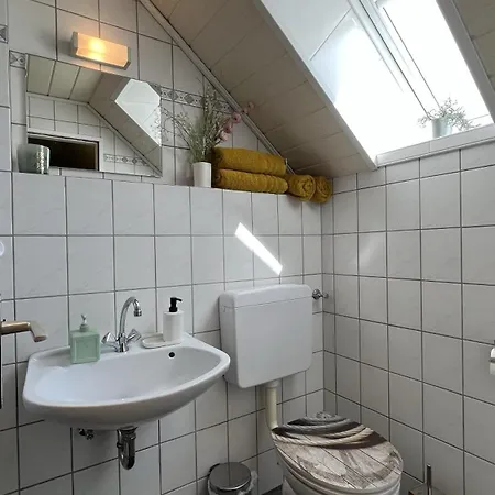 Zitronenfalter Eg * Dornum