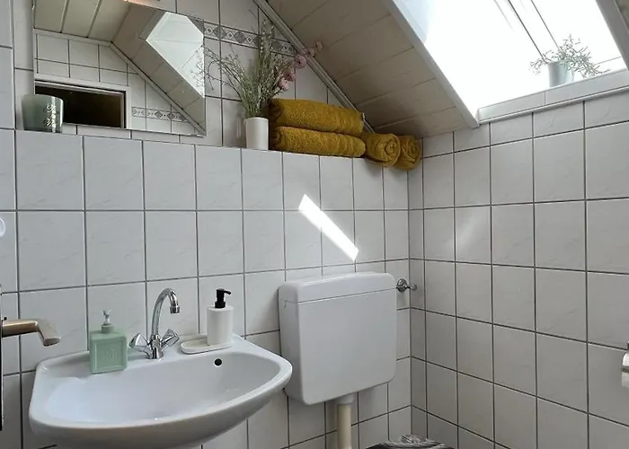 Zitronenfalter Eg * Dornum