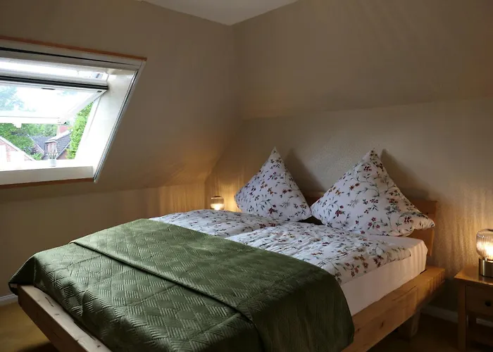 Zitronenfalter Eg Daire